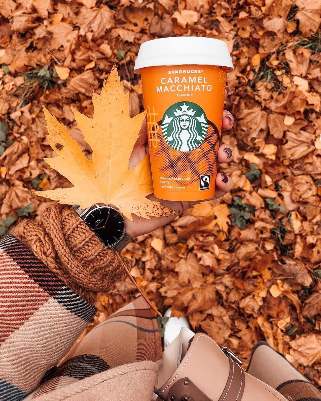 Autumn Starbucks Drink Wallpaper