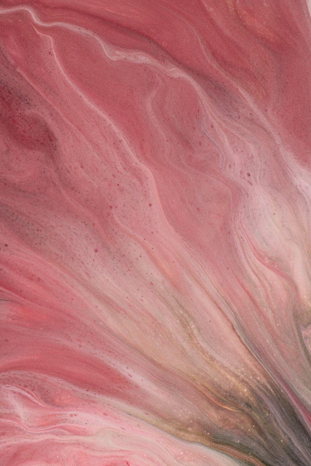 A close up of a pink and white abstract painting - Coral