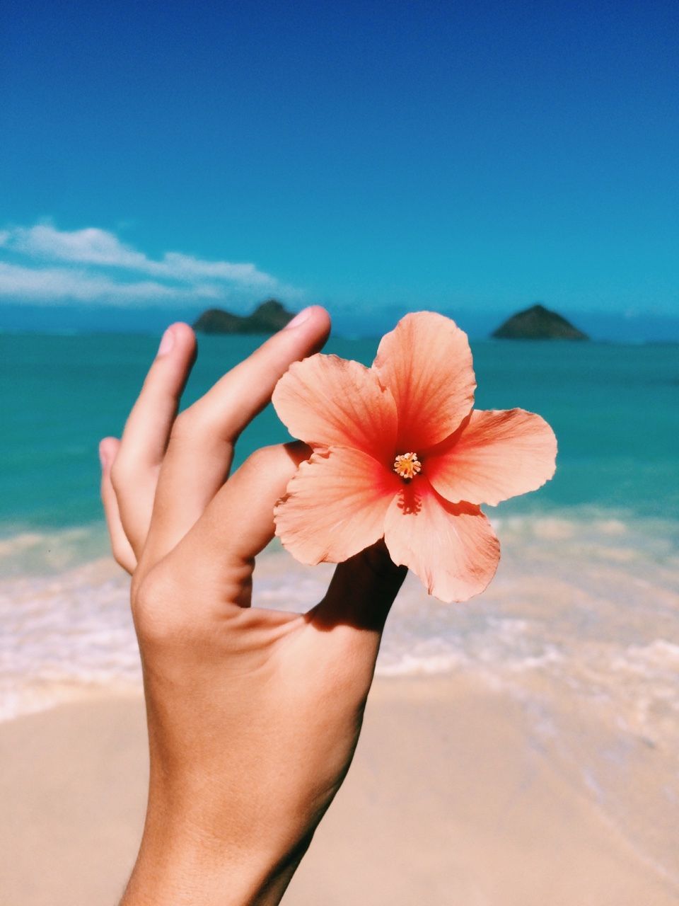 A woman's hand holding a flower in front of the ocean - Hawaii