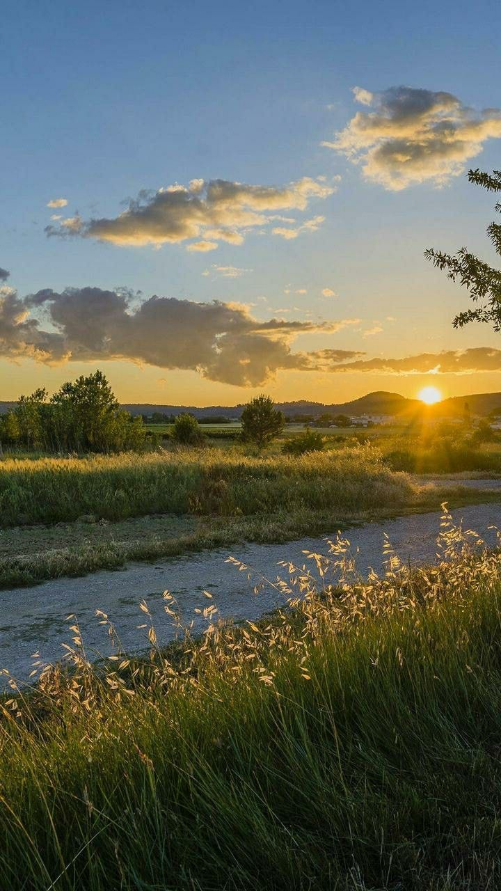 A sunset over a grassy field with a river running through it. - Landscape, nature