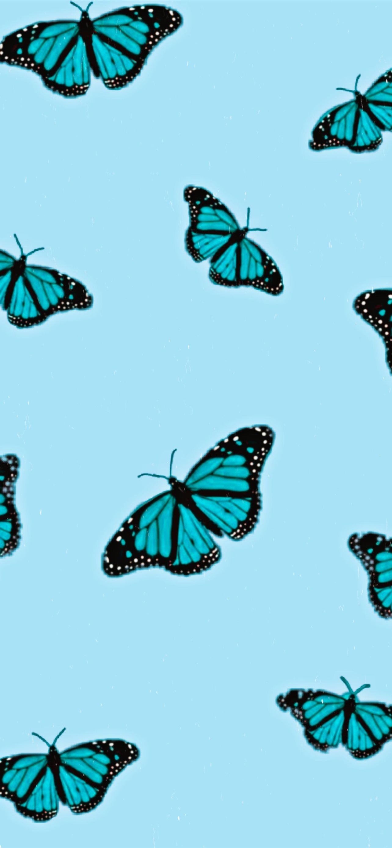 Aesthetic butterfly wallpaper for phone. - Teal, butterfly