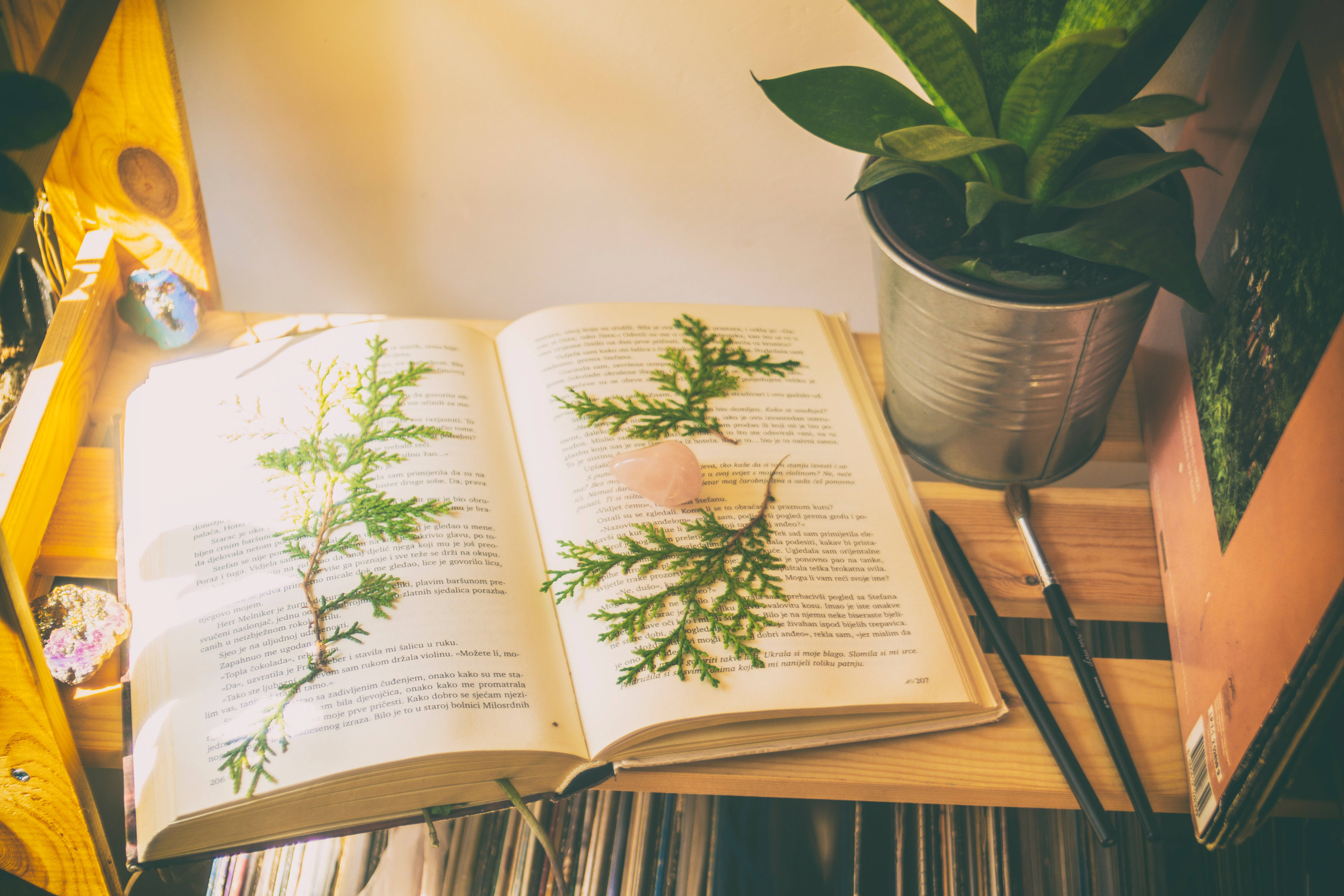 Download Green Leaves Aesthetic Book Desktop Wallpaper