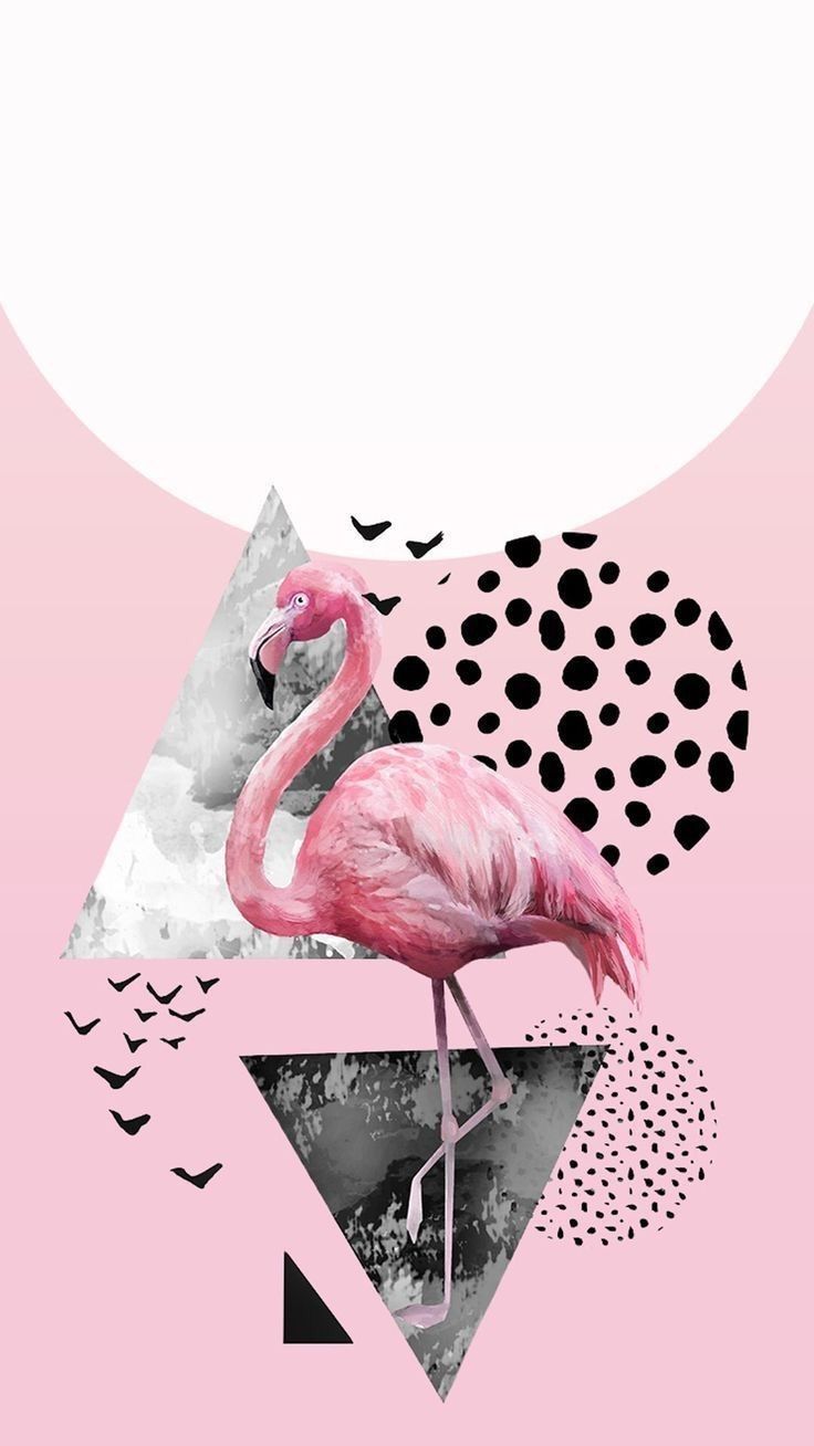 Flamingo. Flamingo wallpaper, Apple watch wallpaper, Watch wallpaper