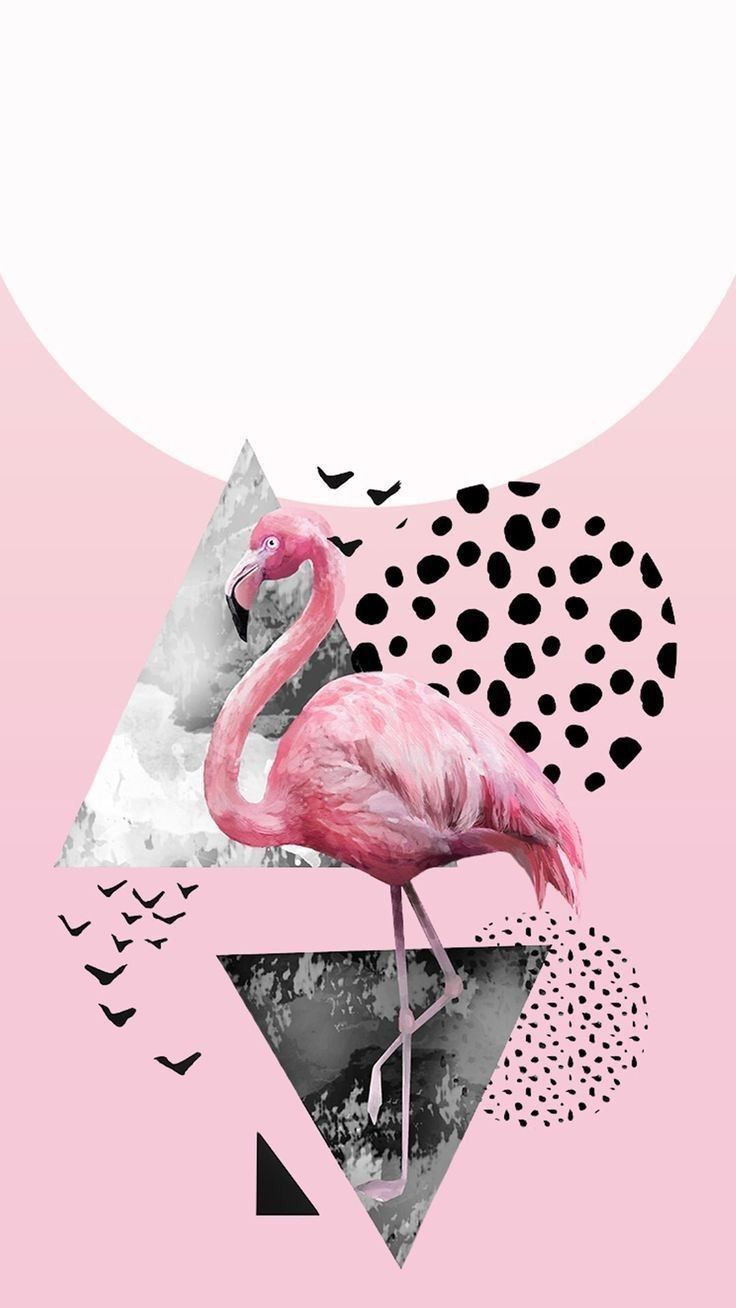 A flamingo on pink background with black and white dots - Flamingo