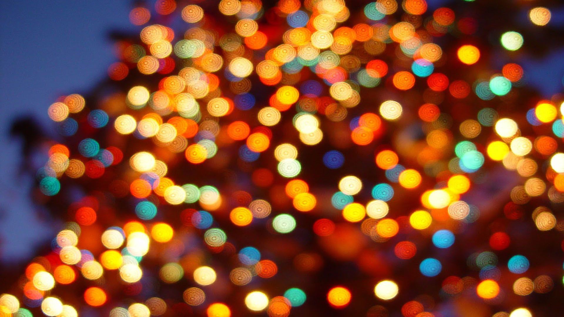A blurry image of a Christmas tree with lights on it - Christmas lights