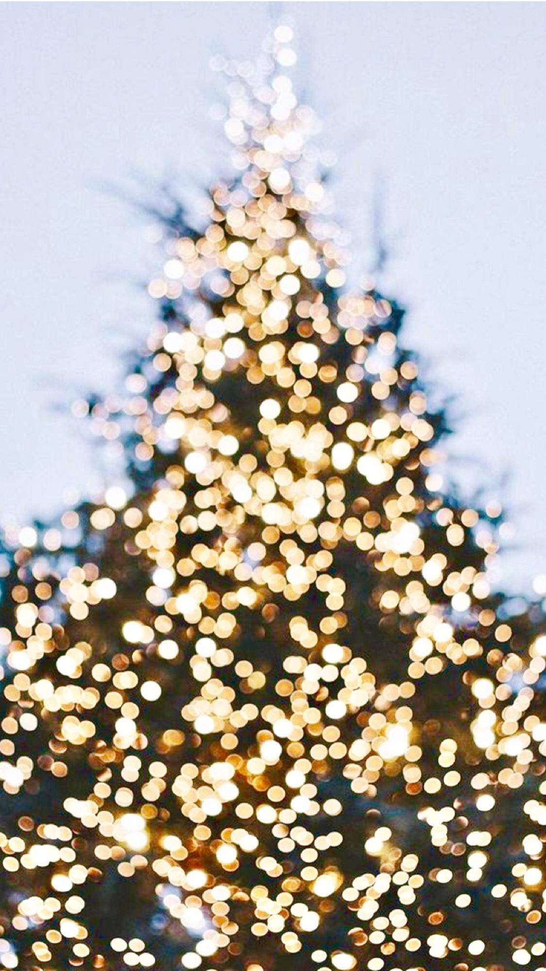 A christmas tree with lights on it - Christmas lights, white Christmas, fairy lights