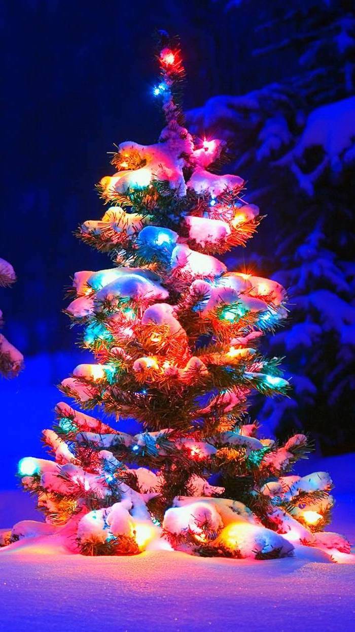 Small christmas tree, covered with fake snow, colorful lights, placed in the snow, in the dark - Christmas lights