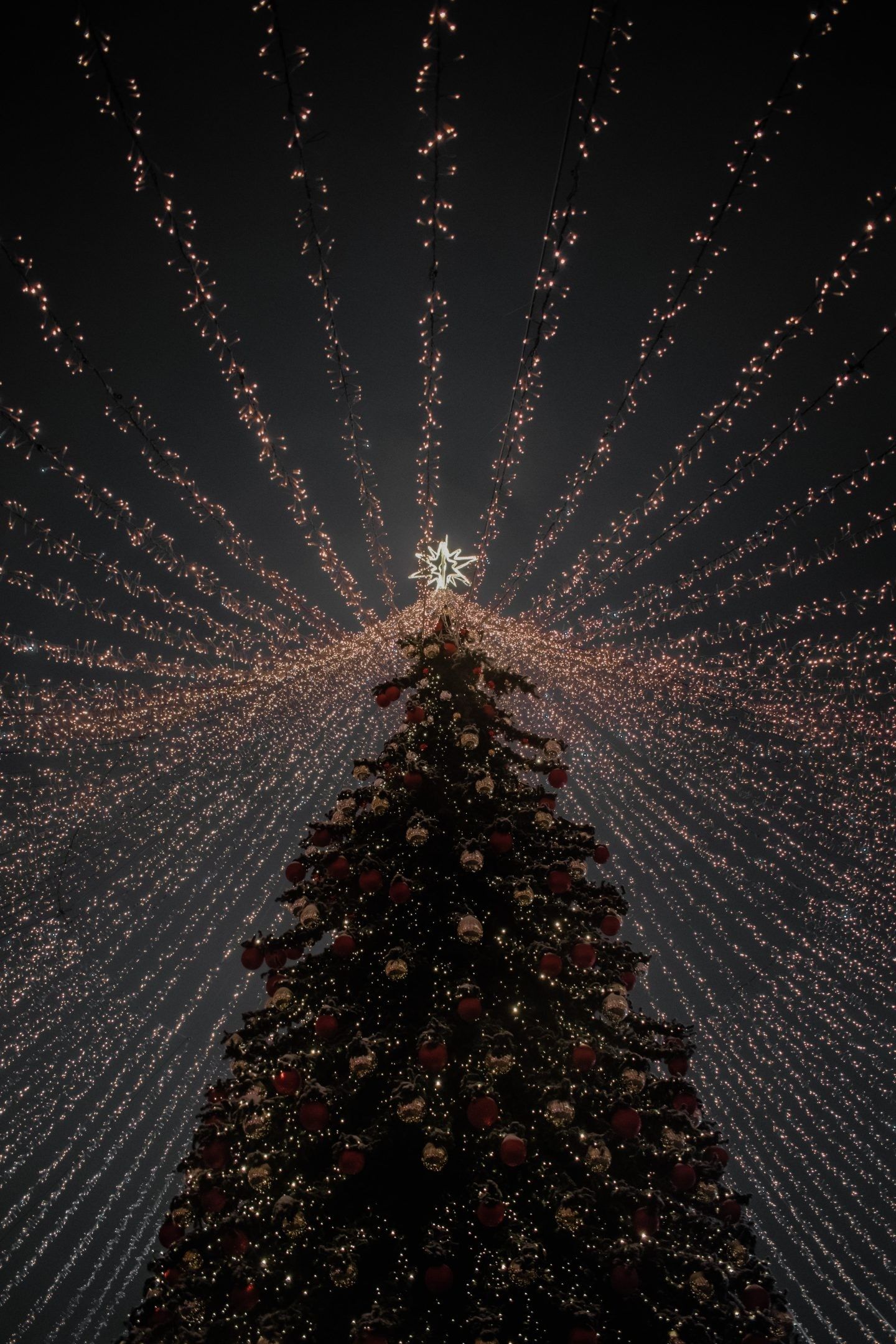 A christmas tree with lights and stars - Christmas lights