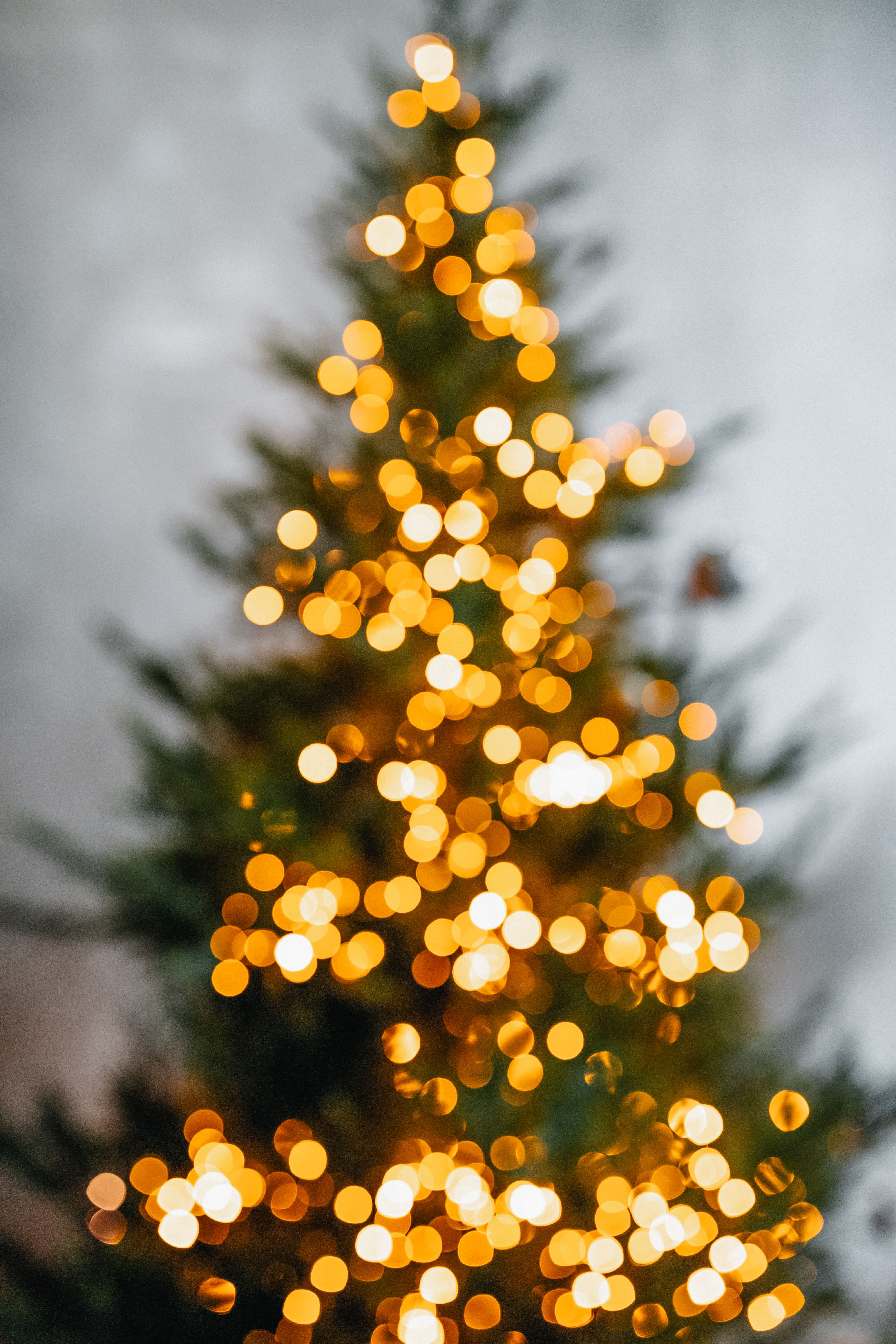 A blurry photo of a Christmas tree with golden lights. - Christmas lights
