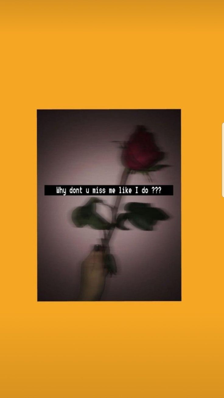 Aesthetic background with a rose and a quote - Depressing, depression