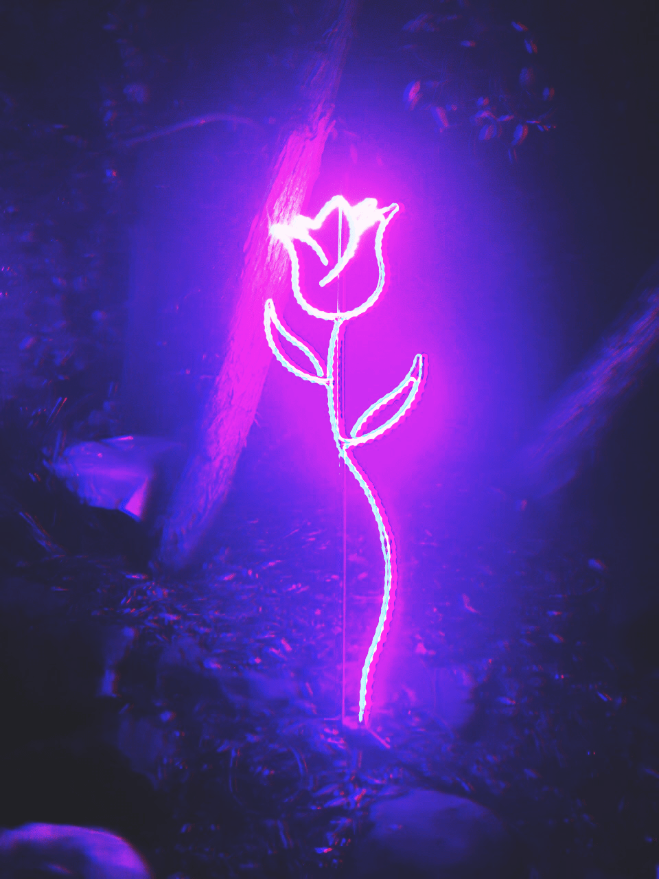 A neon sign of a rose in a purple and blue room. - Purple