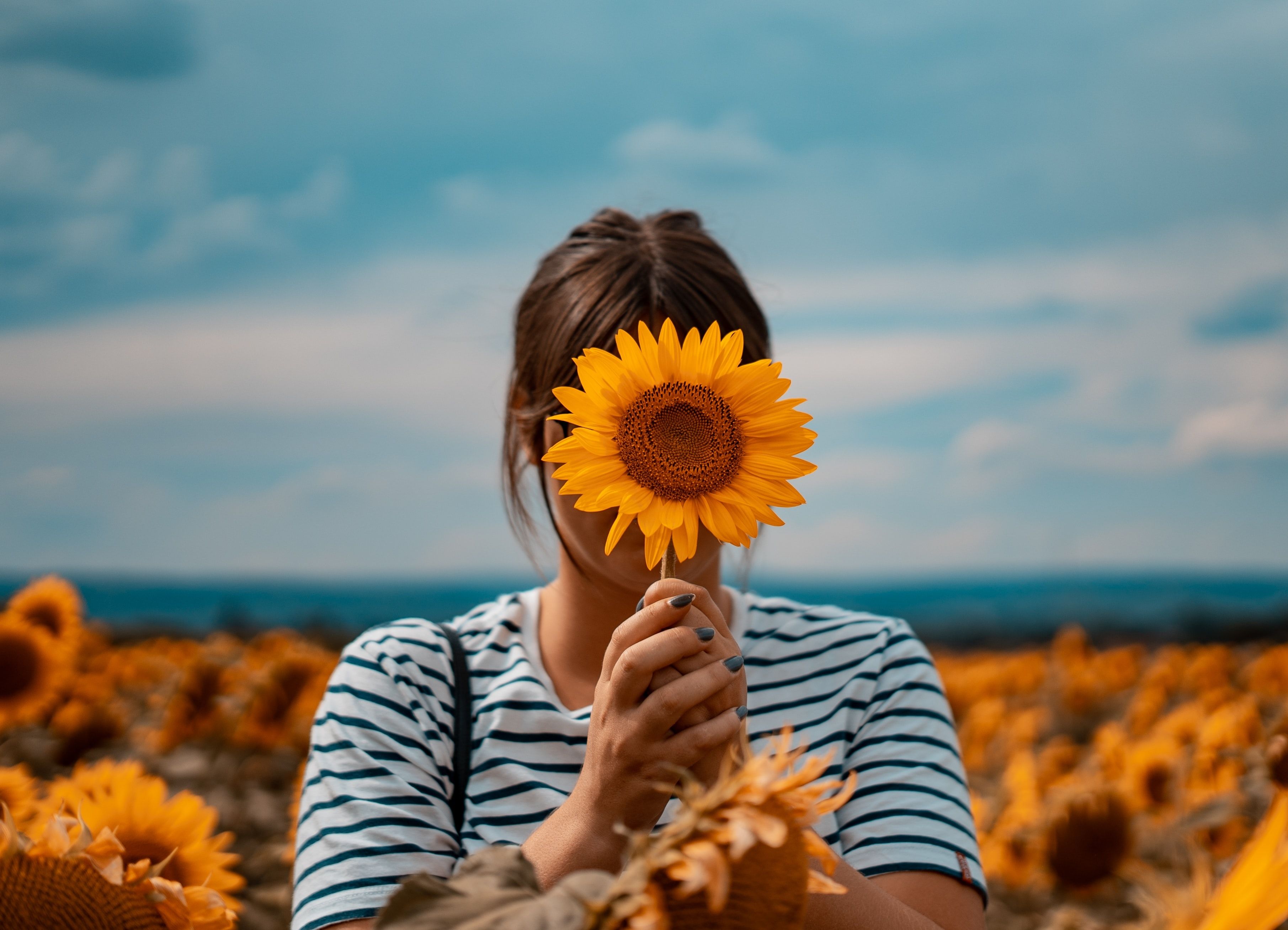 Aesthetic girly image wallpaper with sunflower Wallpaper Download