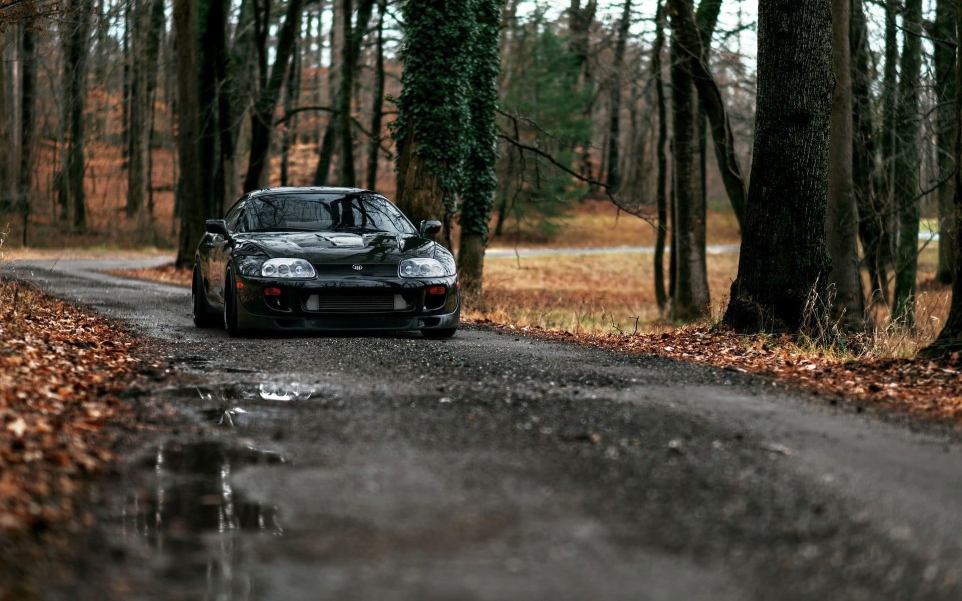A black sports car driving down a leaf covered road in the woods. - JDM