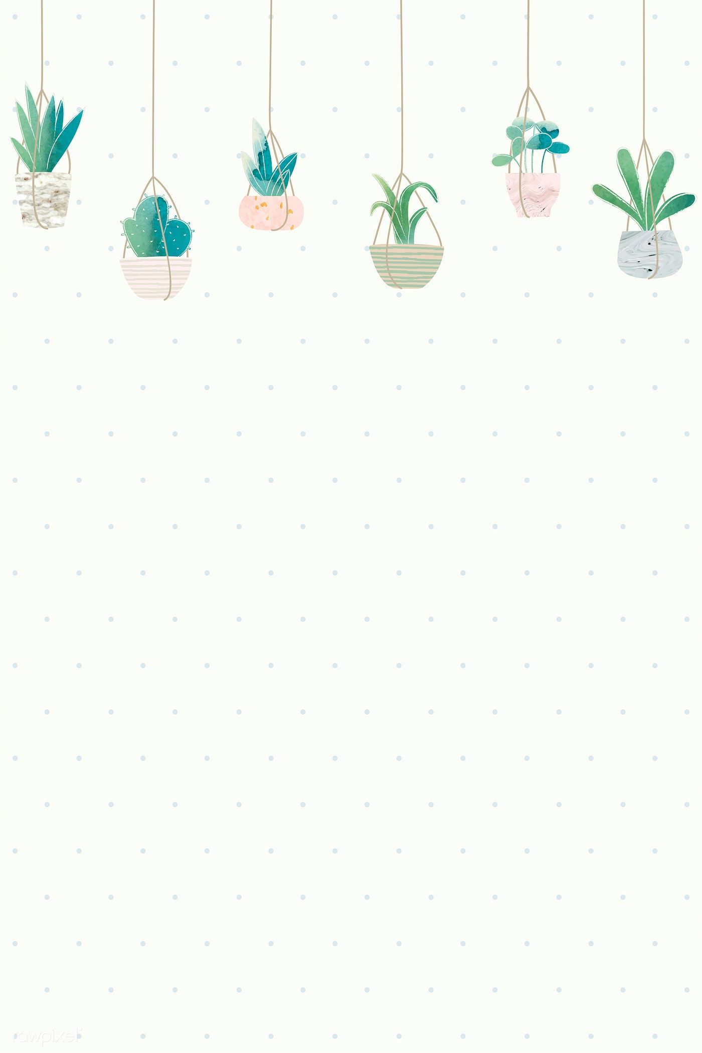 Blank cactus frame design vector. premium image. Cactus illustration, Aesthetic iphone wallpaper, Cactus background