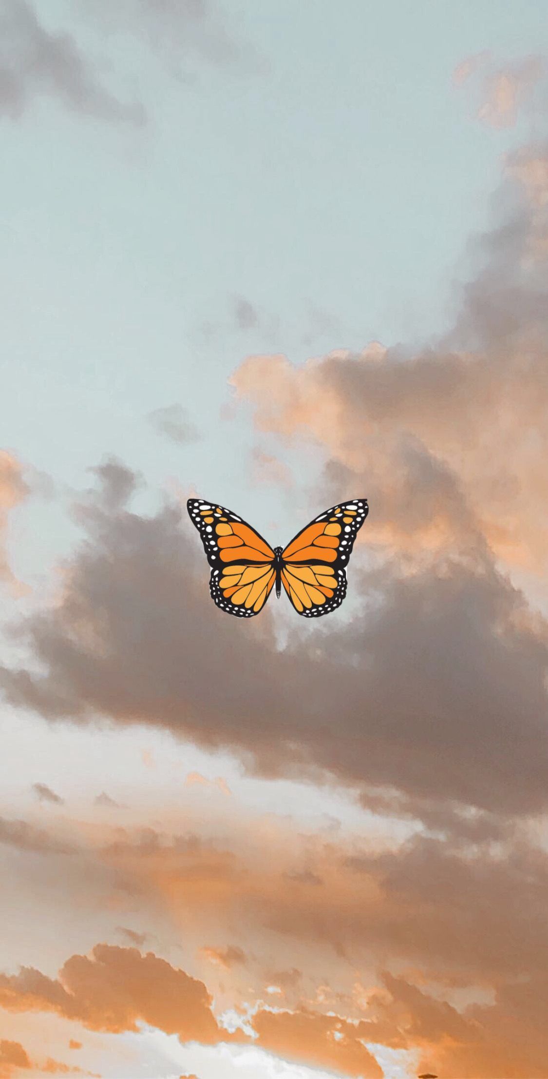 A butterfly flying over the clouds at sunset - VSCO