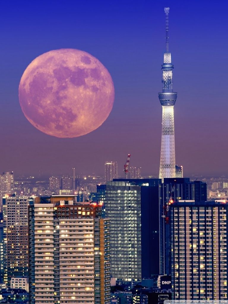 Moon Over Tokyo, Japan Ultra HD Desktop Background Wallpaper for 4K UHD TV : Tablet