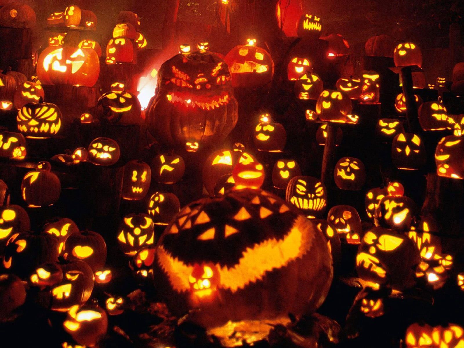 A bunch of carved Halloween pumpkins lit up at night. - Pumpkin