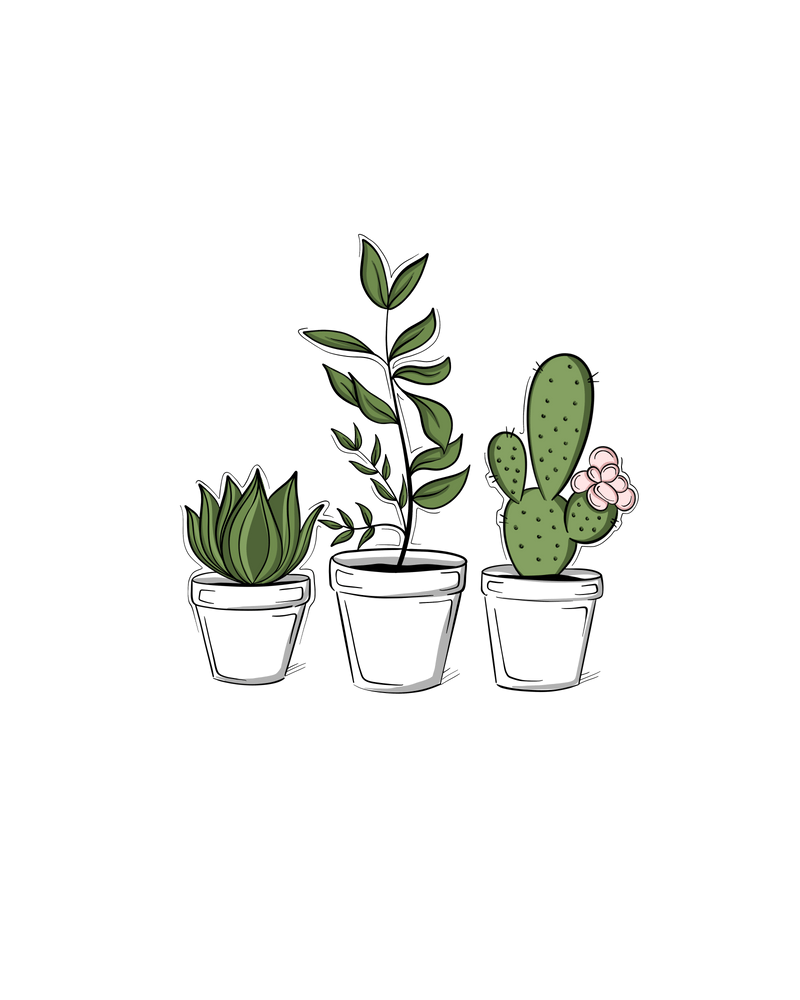 Three potted plants on a green background - Succulent