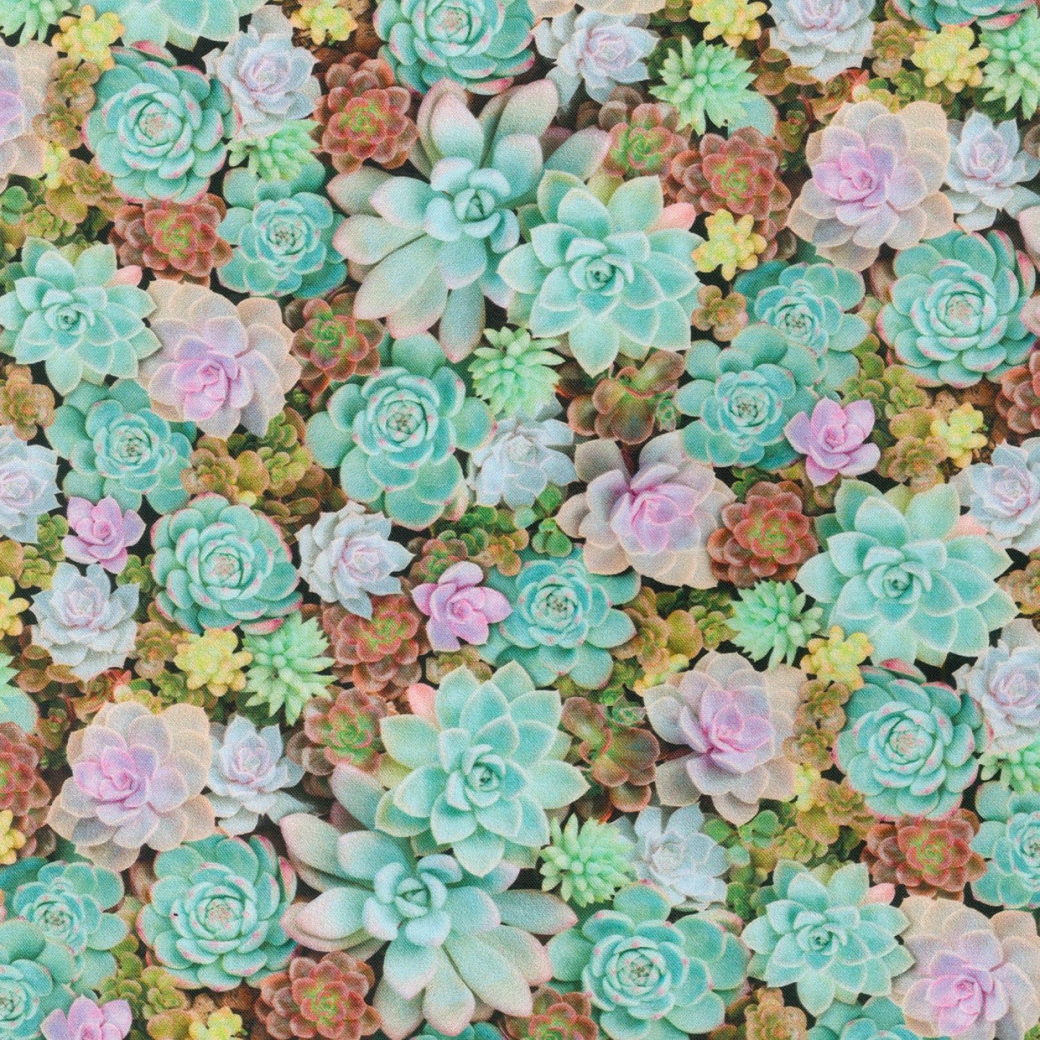 Buy Robert Kaufman Imaginings Cactus Multi Cotton Fabric Online in India