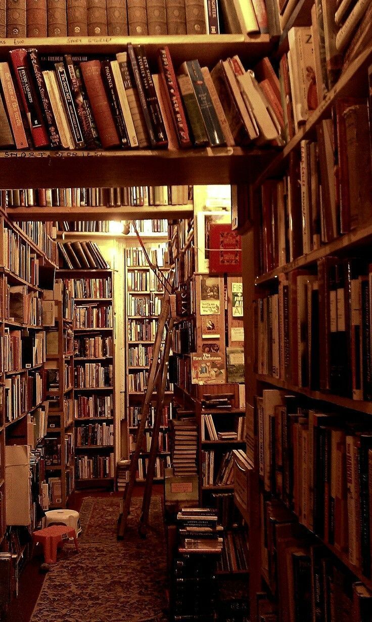 A book store with many books on the shelves - Library