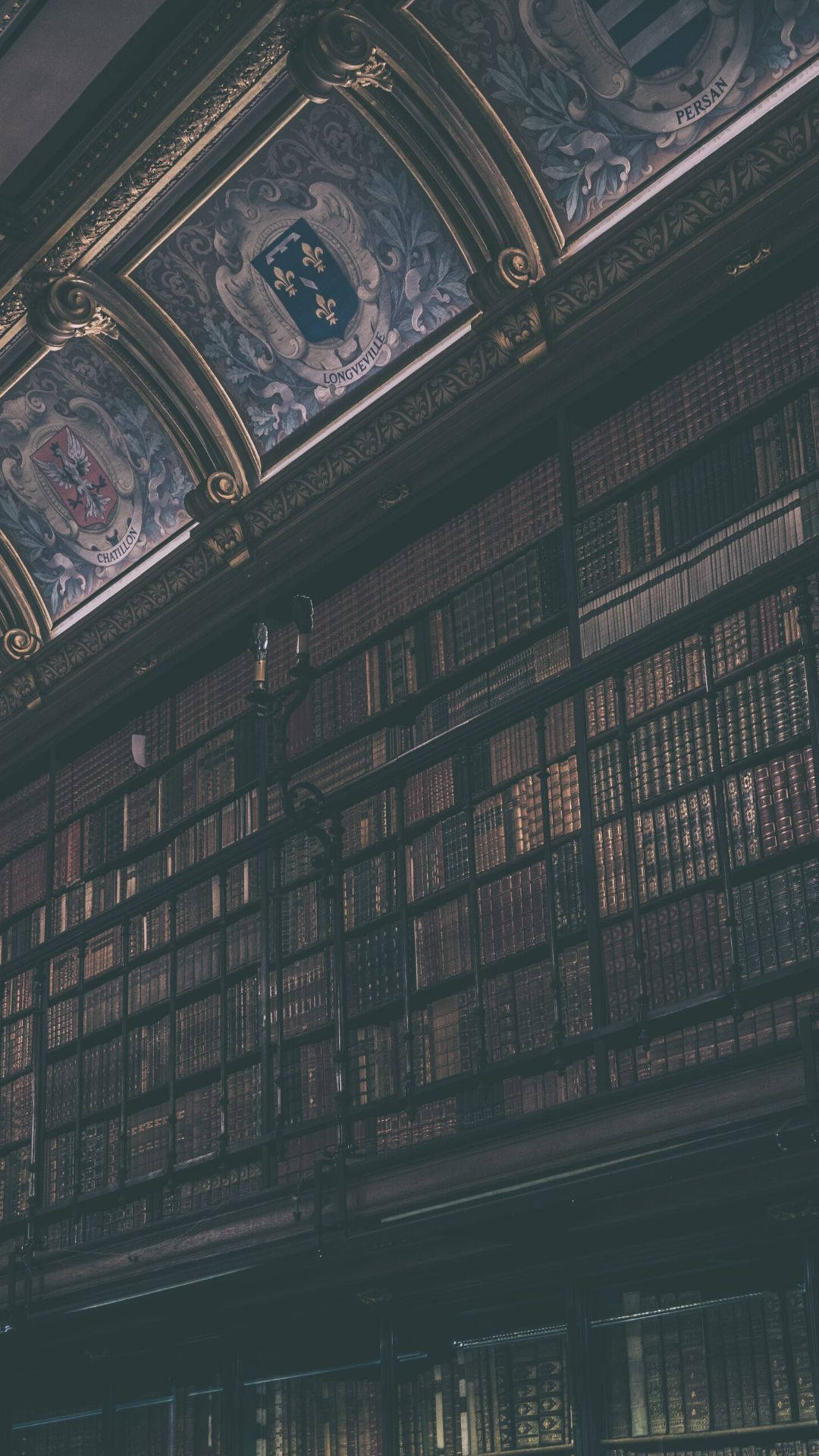 A library with a high ceiling and many books on the shelves - Library