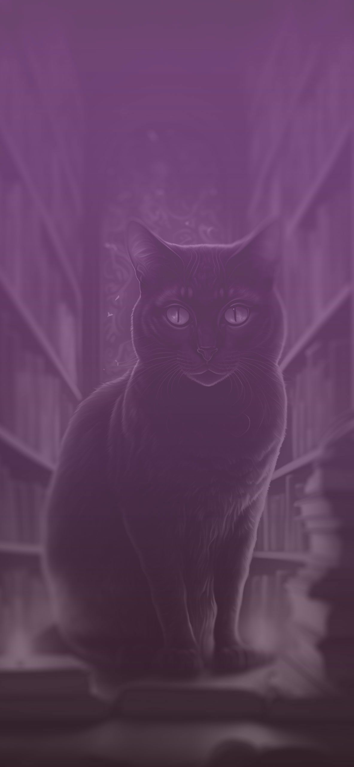Black Cat in Library Wallpaper Cat Wallpaper for iPhone