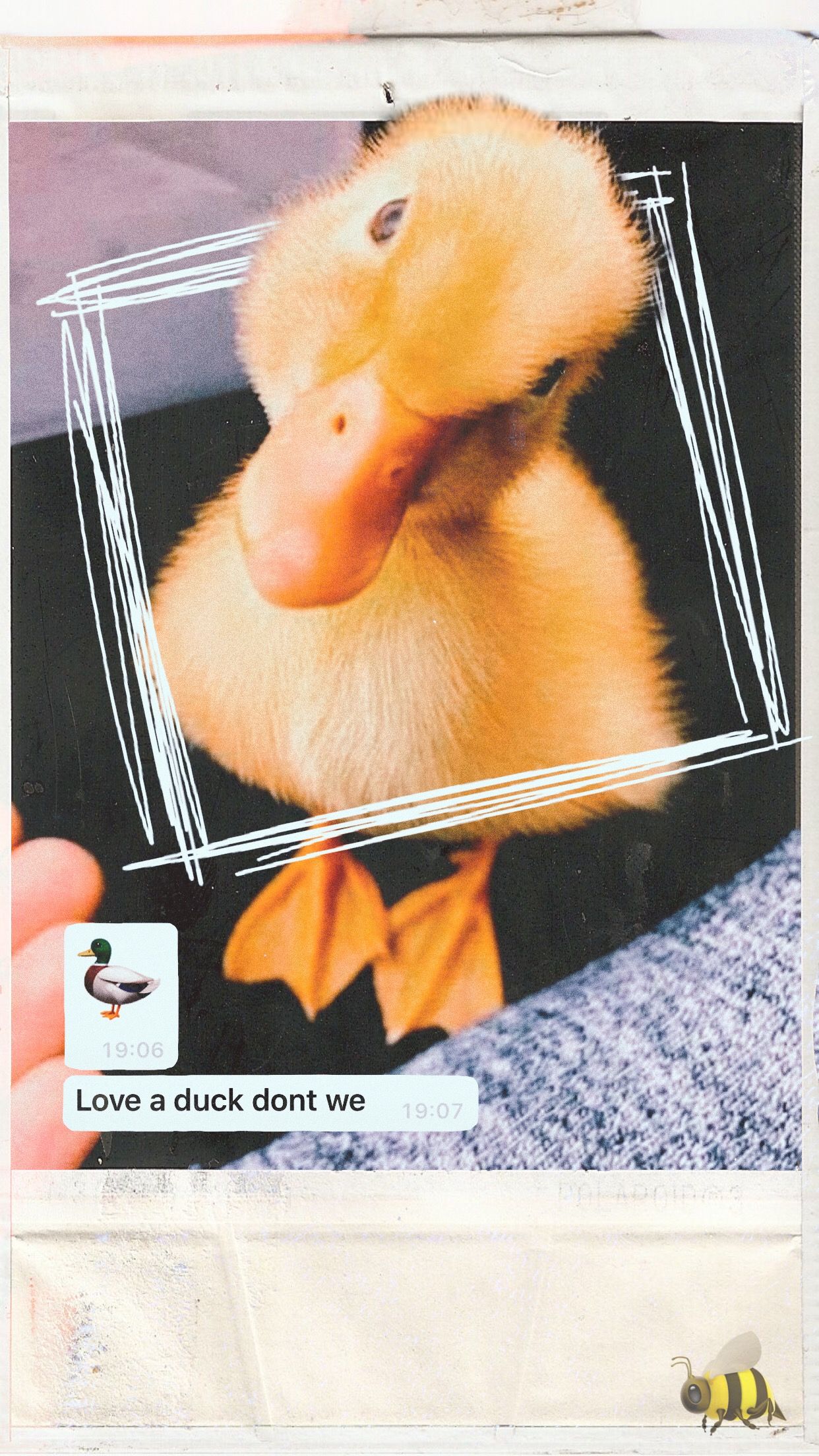 Collage of a duck in a frame with a bee - Duck