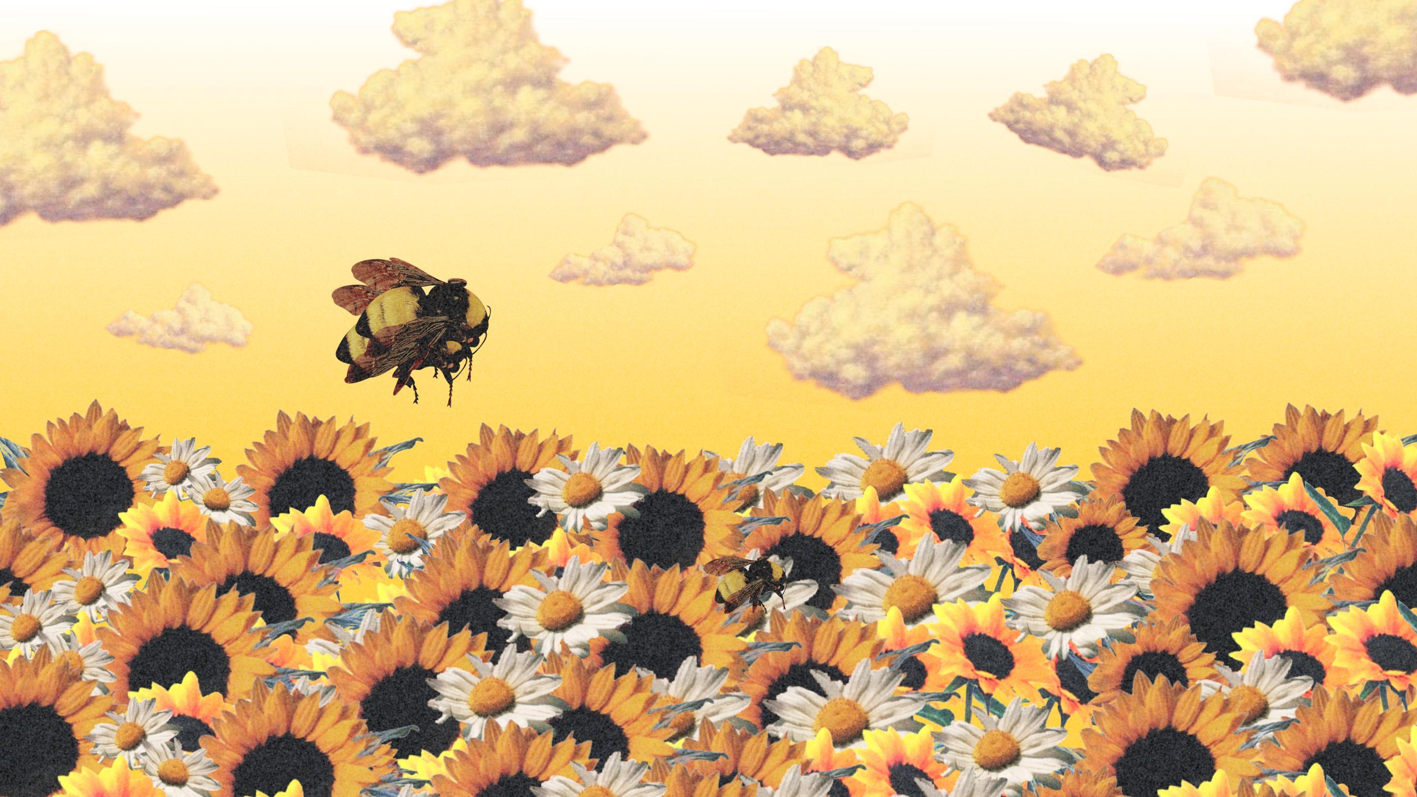 A bee flies over a field of sunflowers and daisies. - Bee