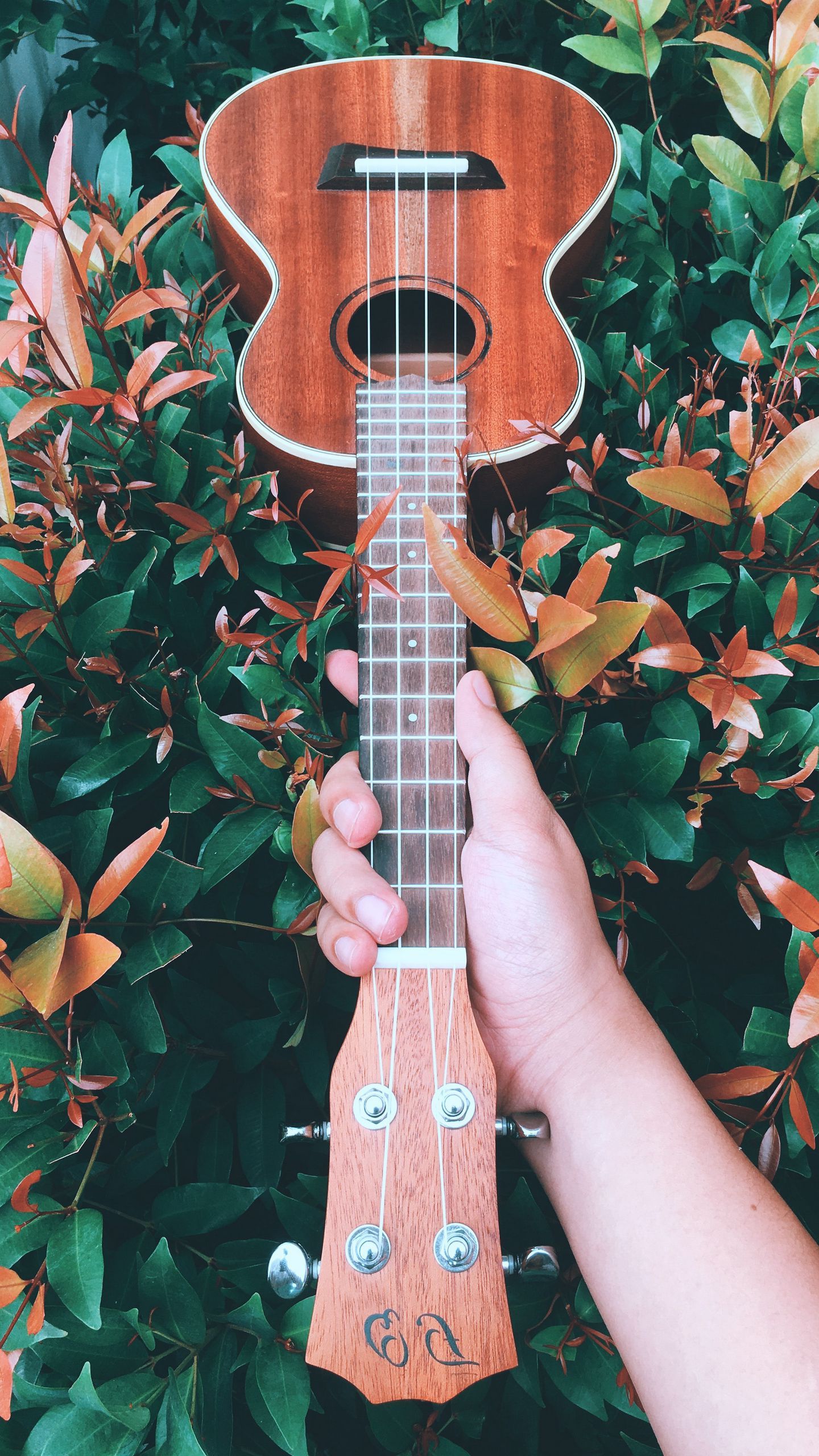 A person holding an ukulele in front of some bushes - Guitar