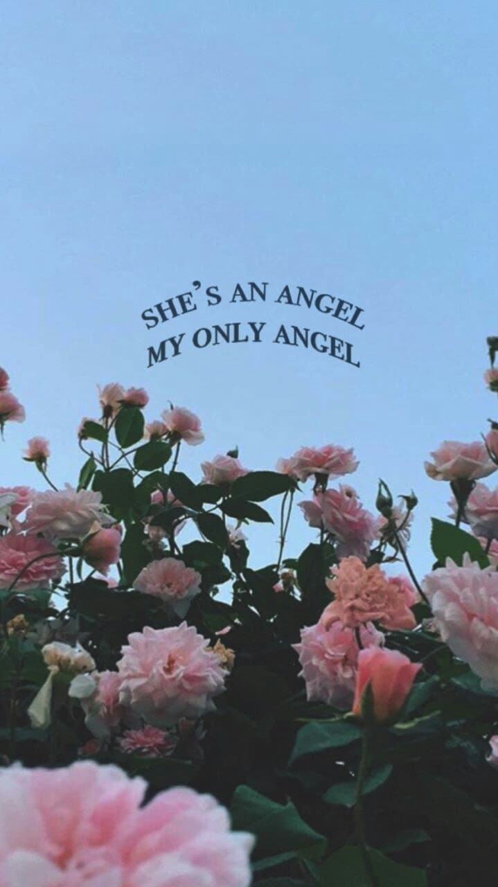 Aesthetic phone background with pink flowers and the words 