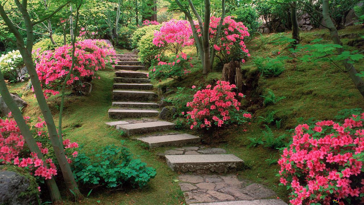 A set of stairs leading to some flowers - Garden