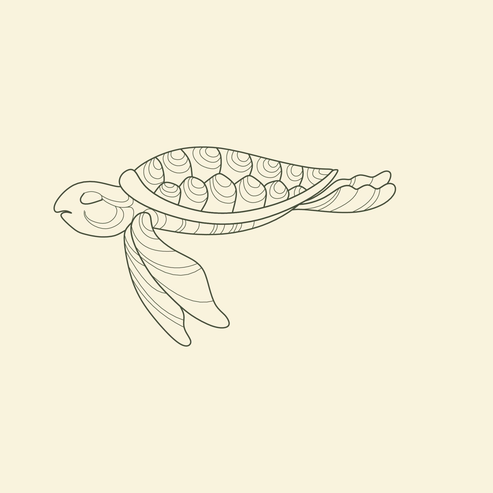 Turtle Line art Vector. Turtle Line art Graphic design for coloring book and wall decoration