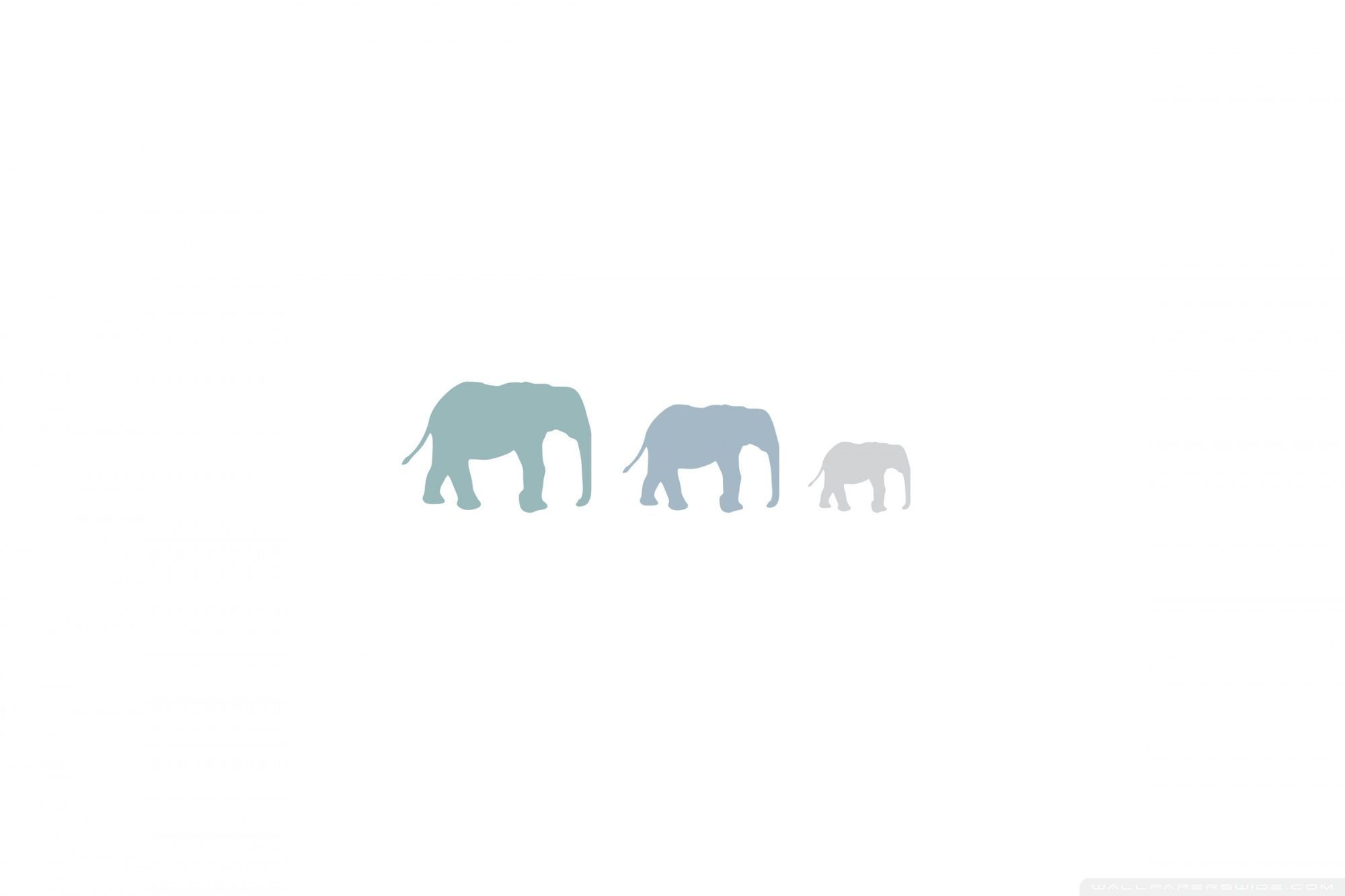 Three Elephants Ultra HD Desktop Background Wallpaper for 4K UHD TV : Multi Display, Dual Monitor : Tablet