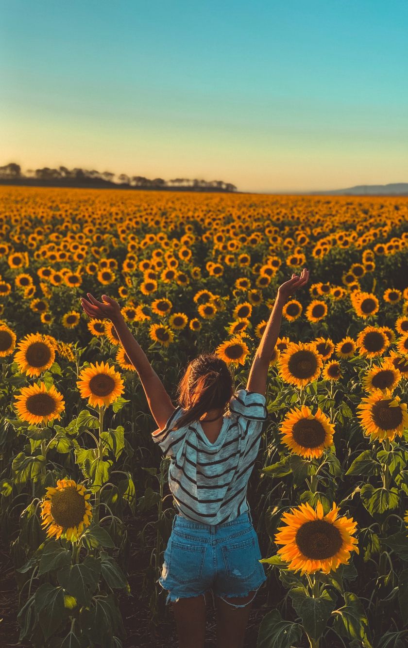 A woman standing in a field of sunflowers with her arms up in the air. - Farm