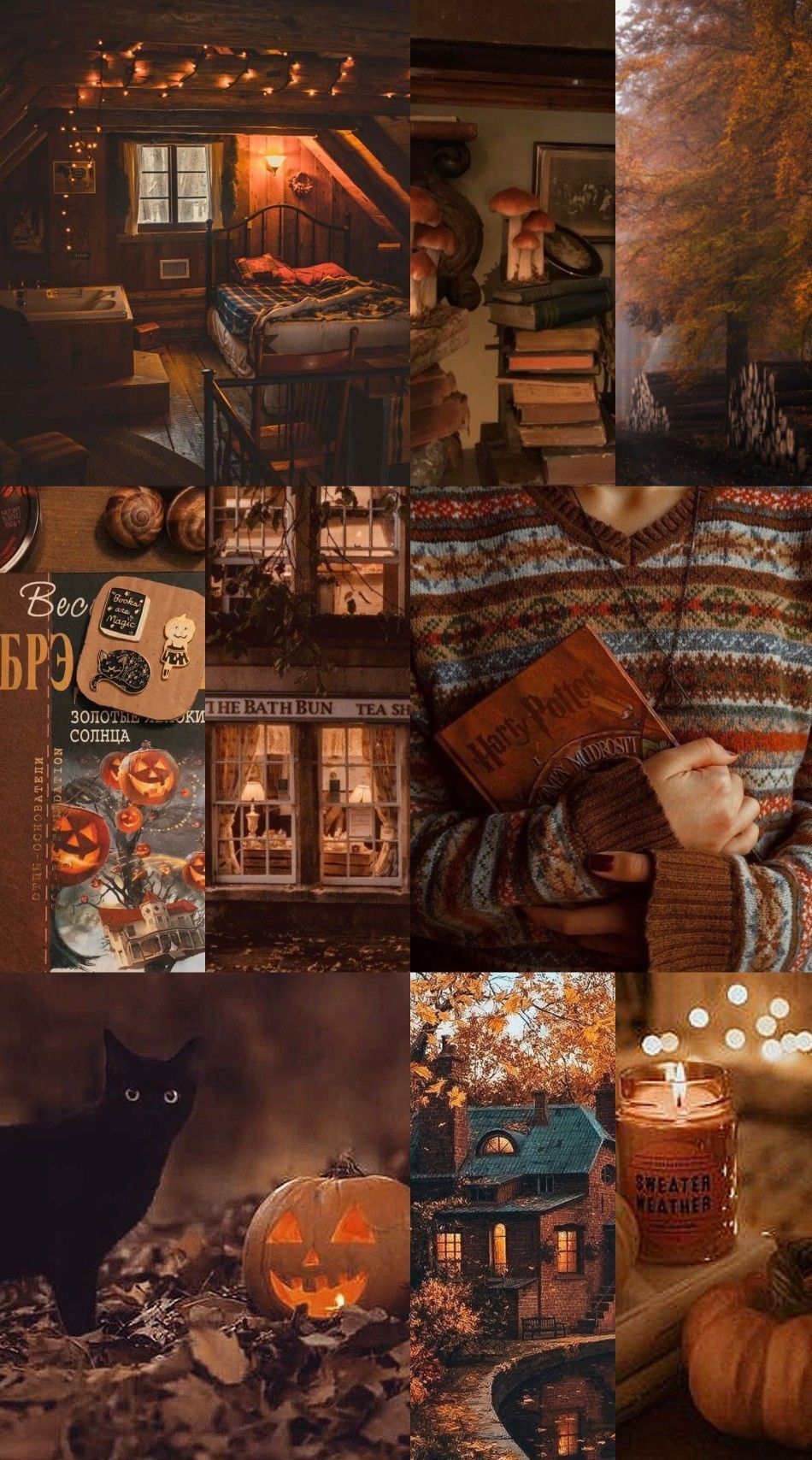 Aesthetic collage of a cozy room with a book, a candle, a cat, and a pumpkin. - Brown, vintage fall, winter, magic, collage, summer