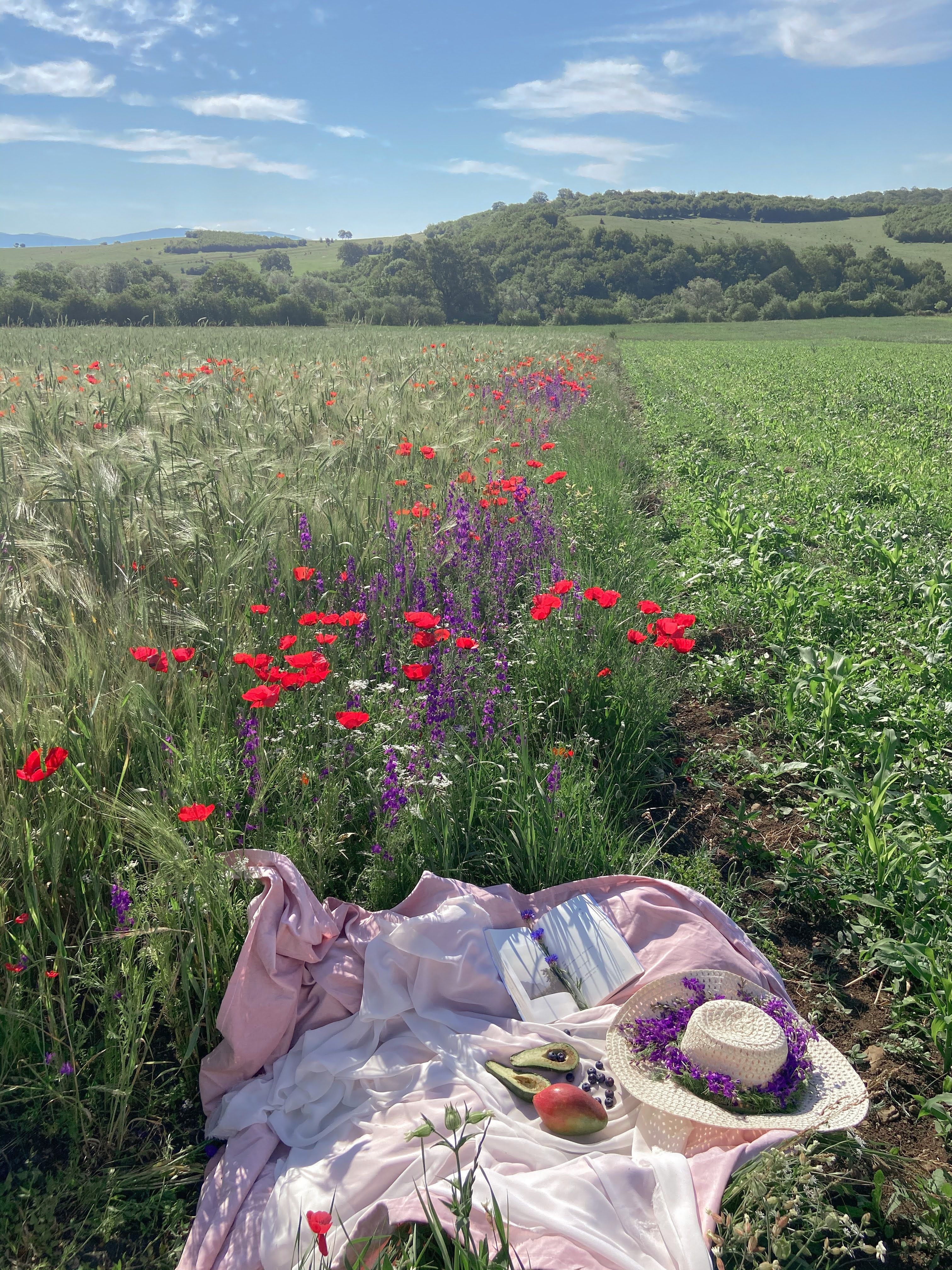 A field of red and purple flowers with a blanket and hat on top. - Farm