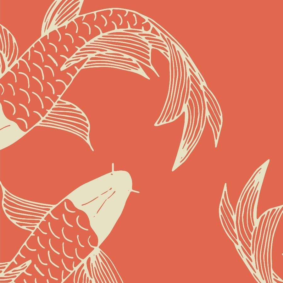 Orange Koi Fish Wallpaper and Stick