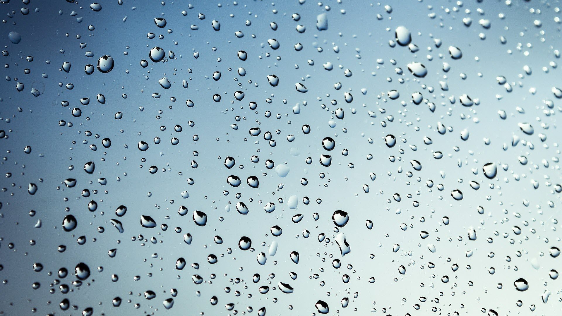A close up of rain drops on the window - Rain