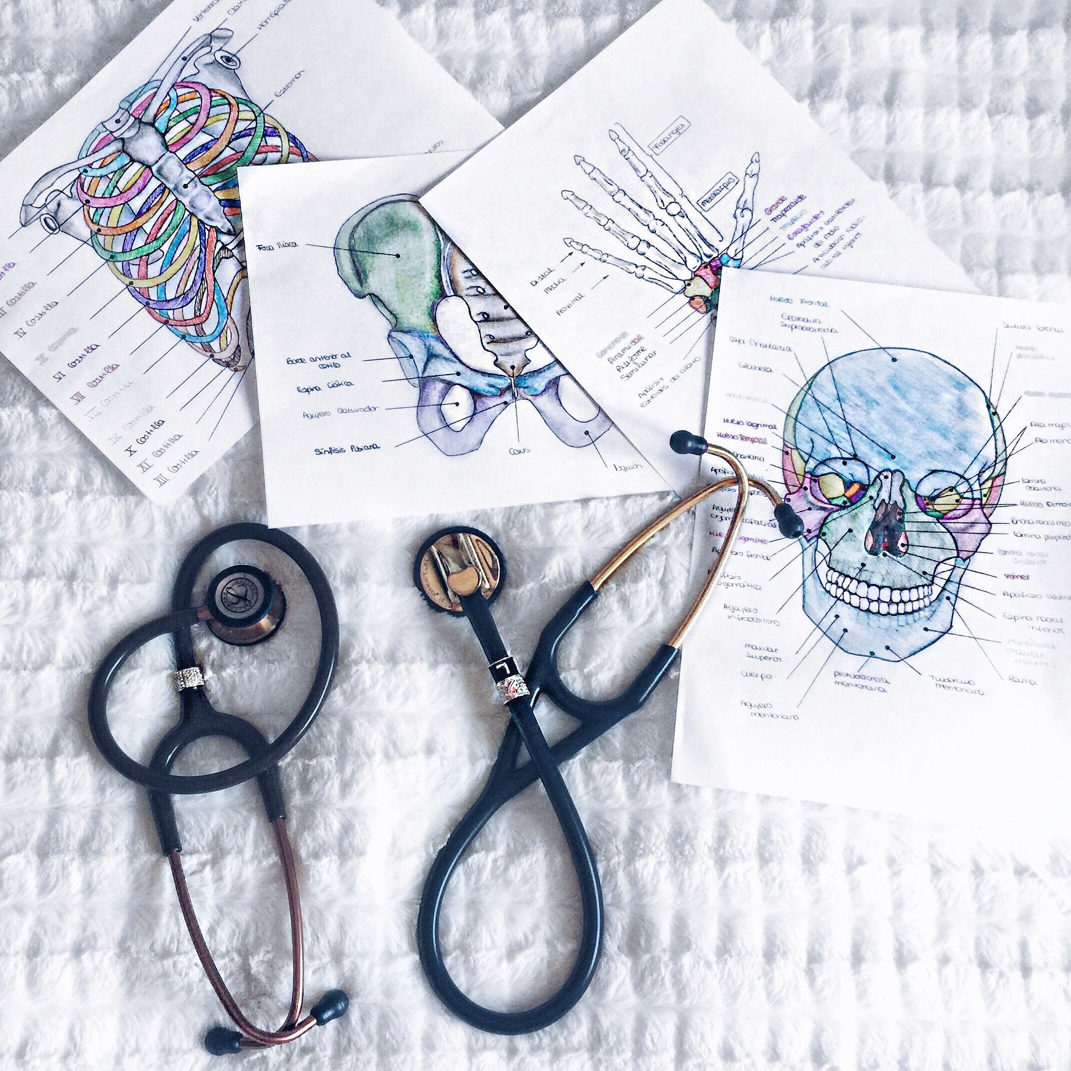 A stethoscope and some papers on top of the bed - Nurse
