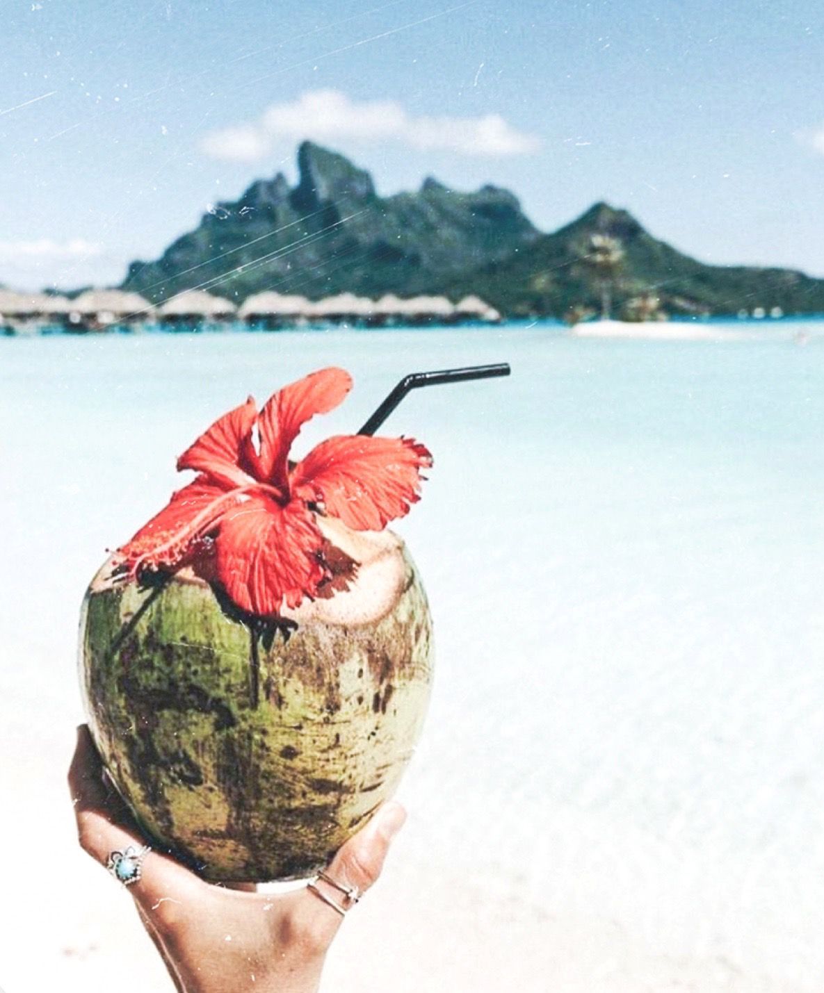A person holding an open coconut with flowers - Coconut