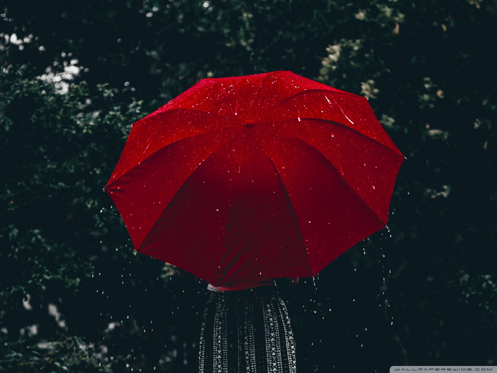 A woman holding a red umbrella with raindrops on it - Rain