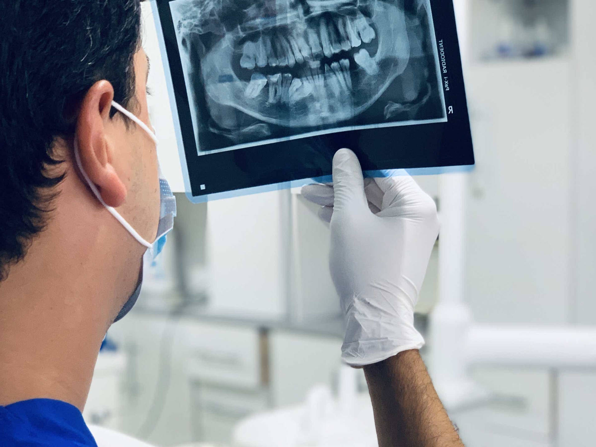 A dentist examines an x ray of teeth - Dentist