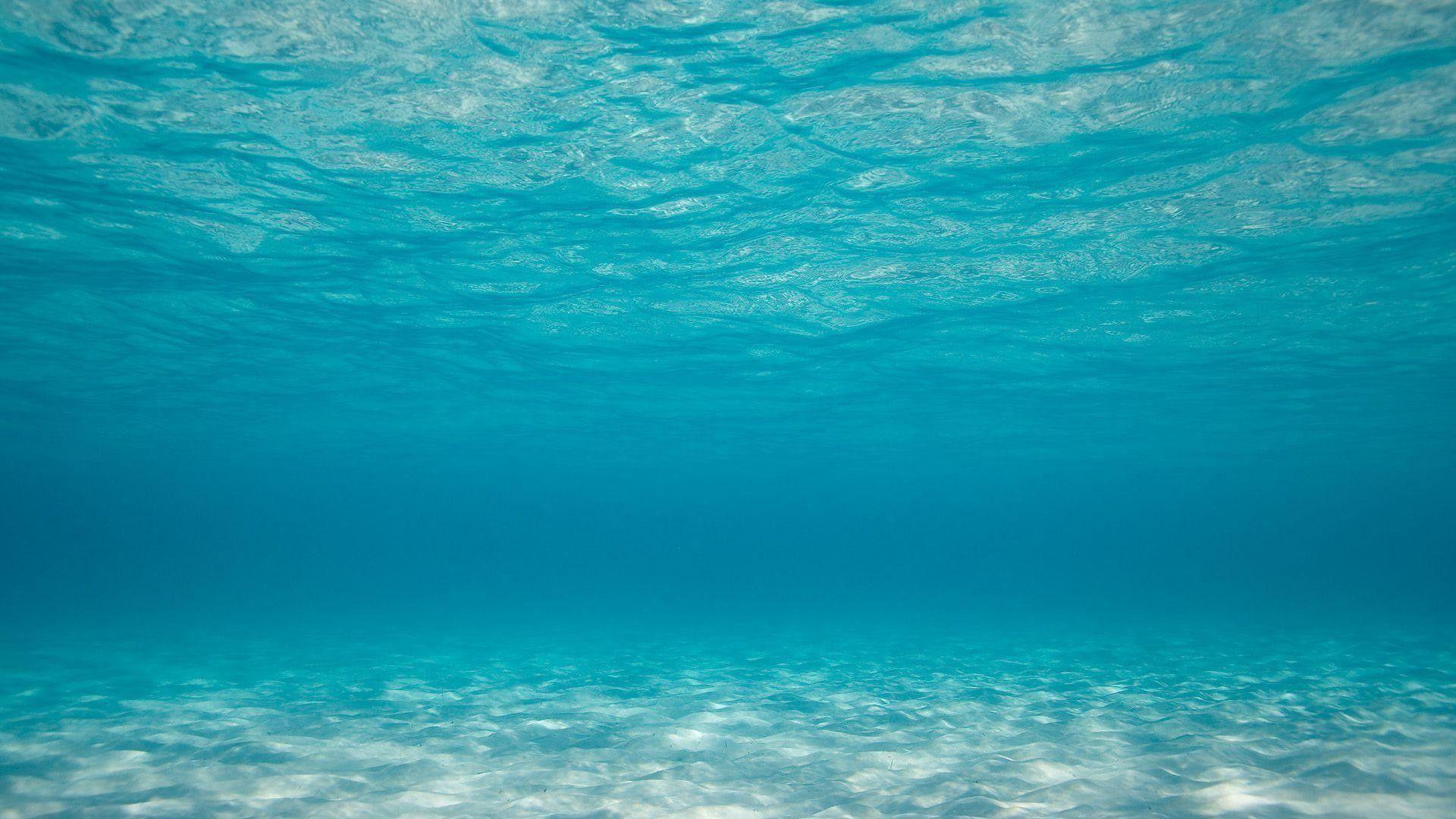 A clear blue underwater view of the ocean floor. - Underwater