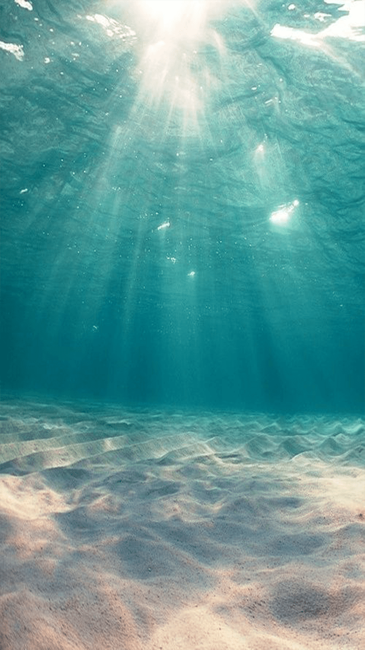 Underwater view of the ocean floor with sun rays shining through the water. - Underwater