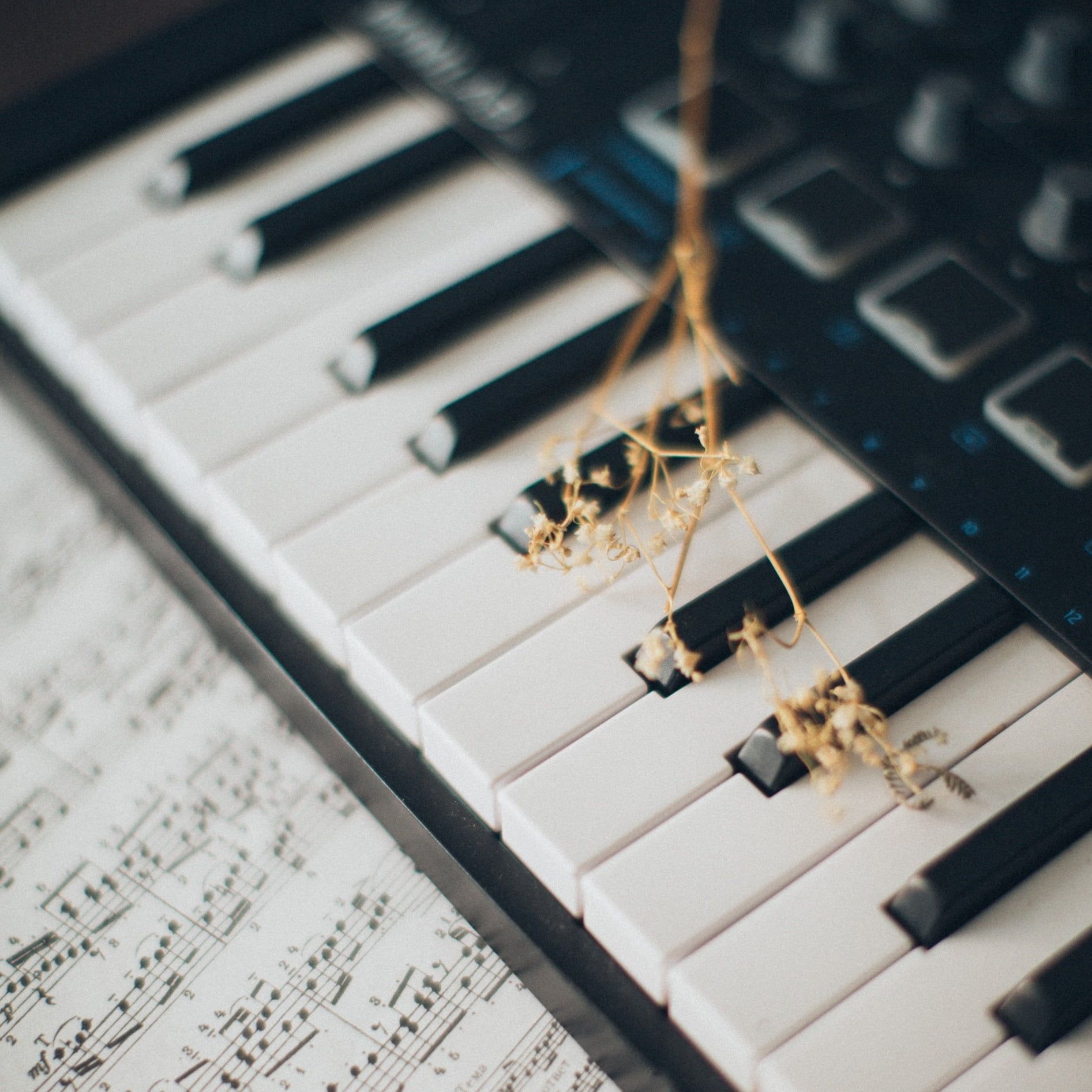 A keyboard with flowers on it - Piano