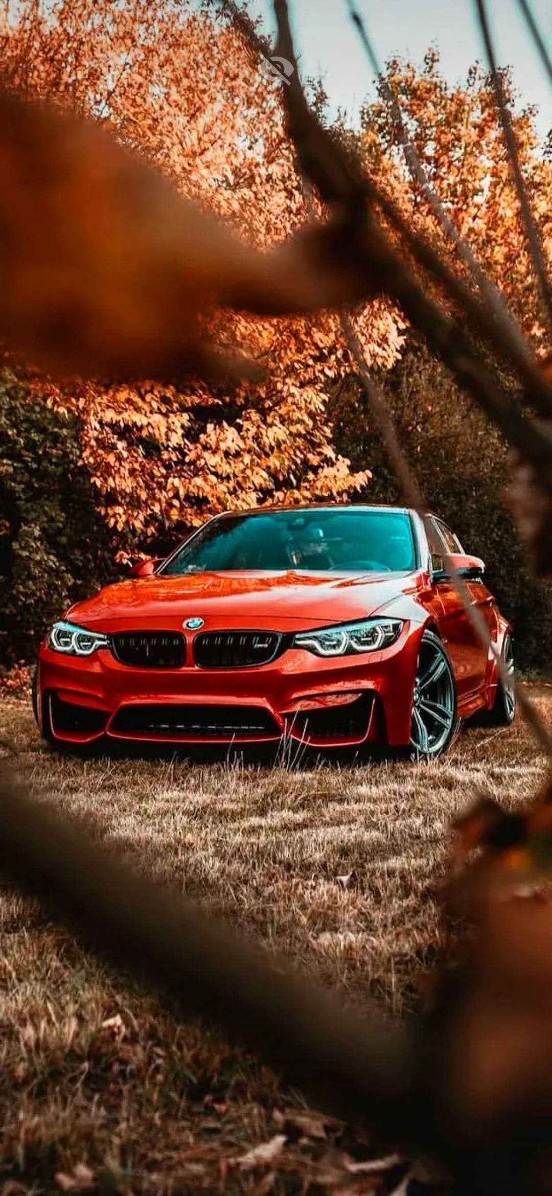IPhone wallpaper of a red BMW M4 in a forest - BMW