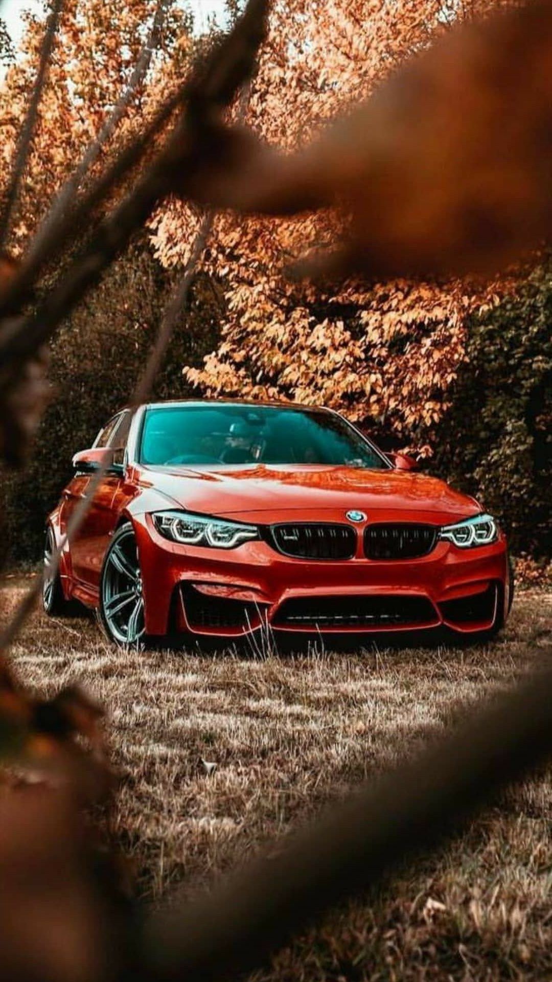 A red bmw m3 parked in the woods - BMW