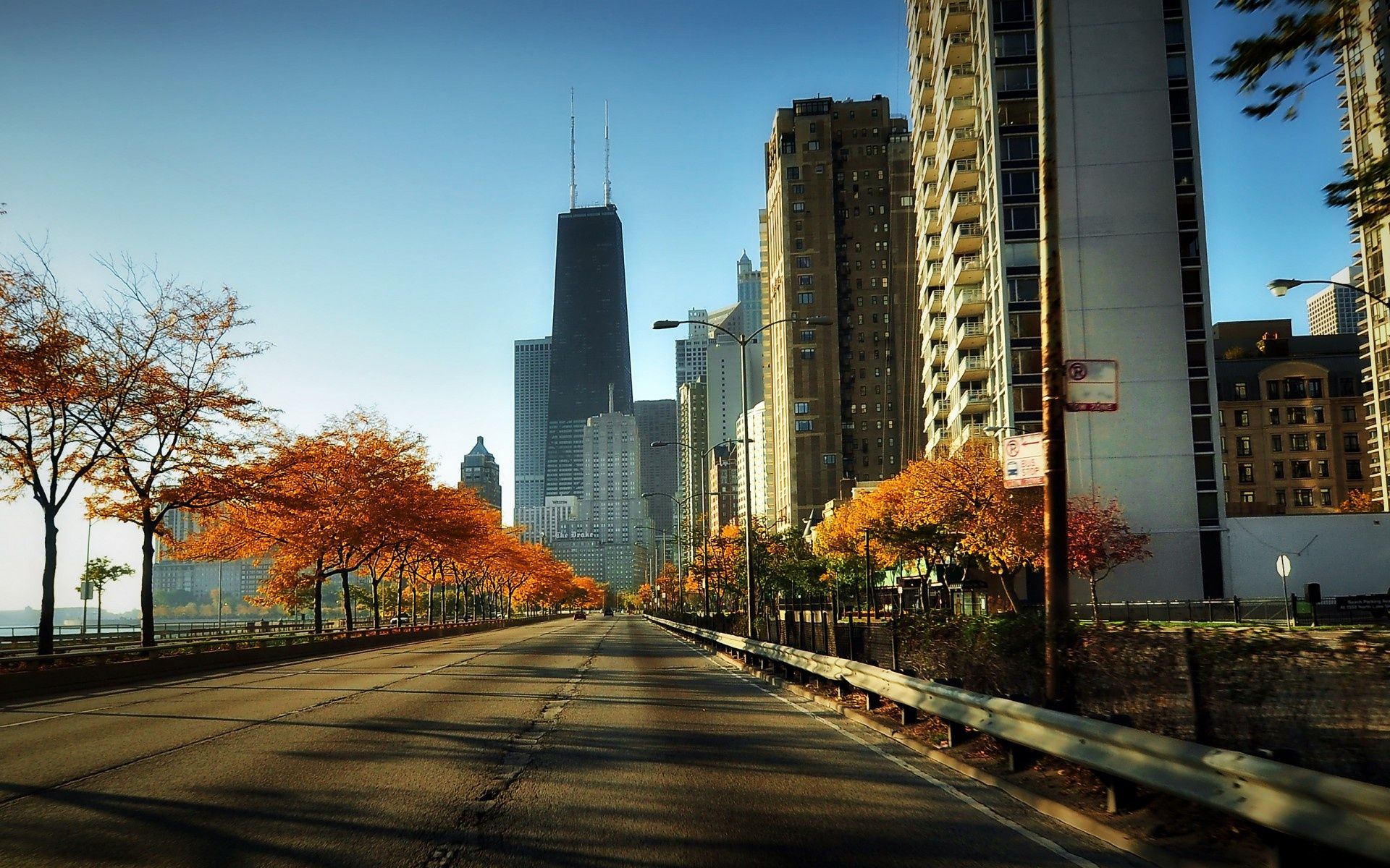 A road with trees and buildings in the background - Chicago