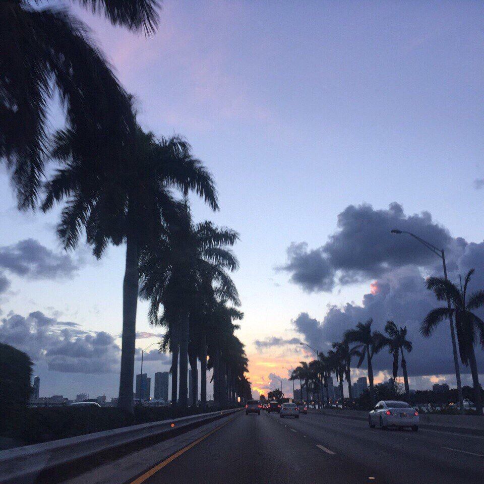 A road with palm trees and cars on it - Miami