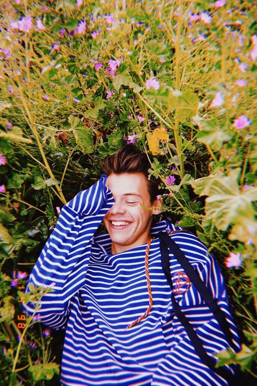 A man laying in the middle of flowers - Harry Styles